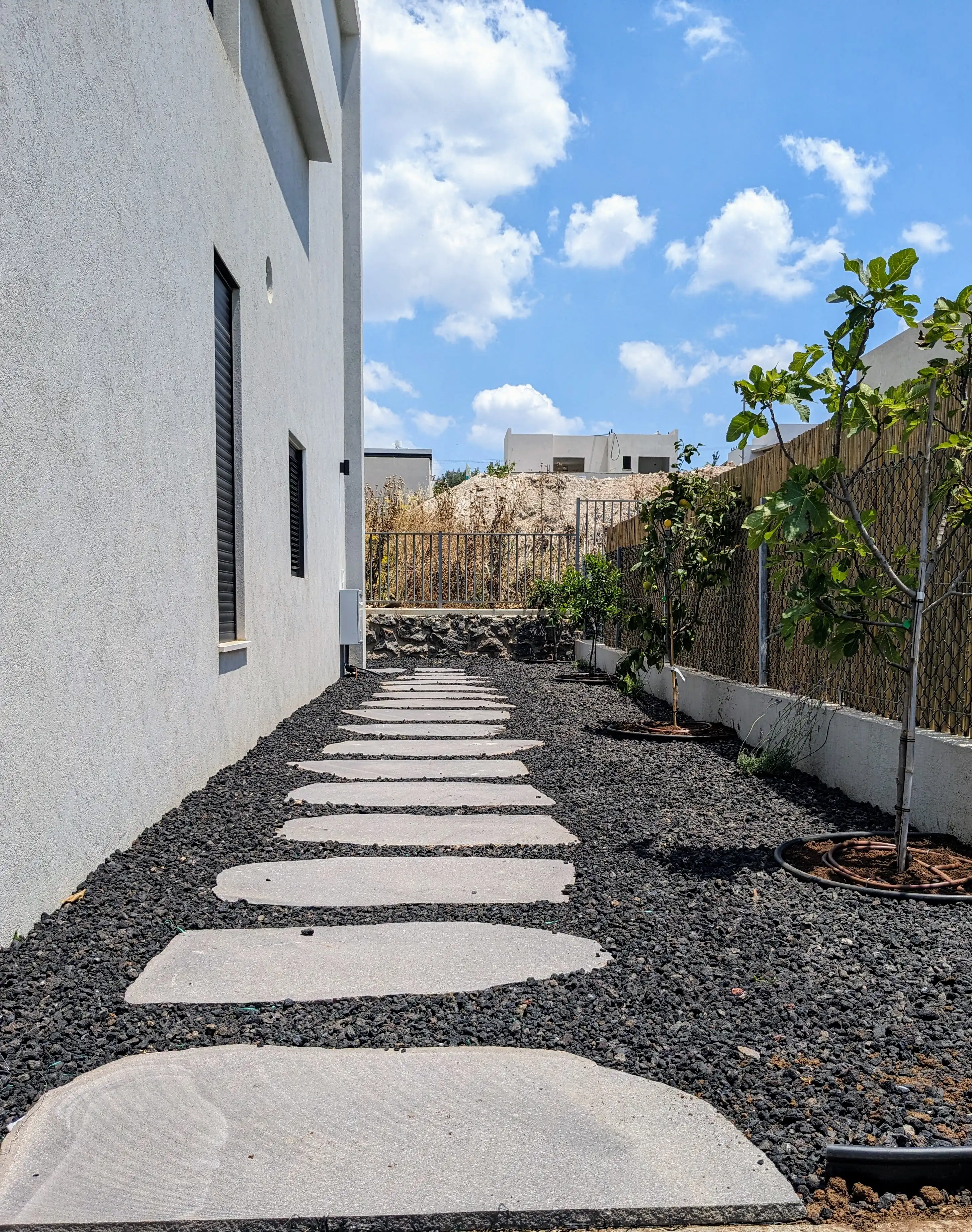 תמונה 109